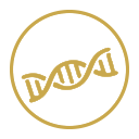 enGene Open Lab